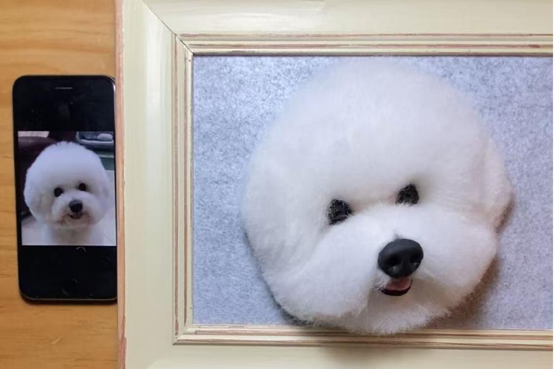 Handmade 3D Felted Dog Portrait (Framed) in 6" or 10" Sizes